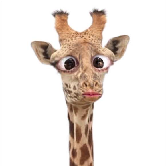 Meet your Posher, Dilcia - Picture 9 of 16